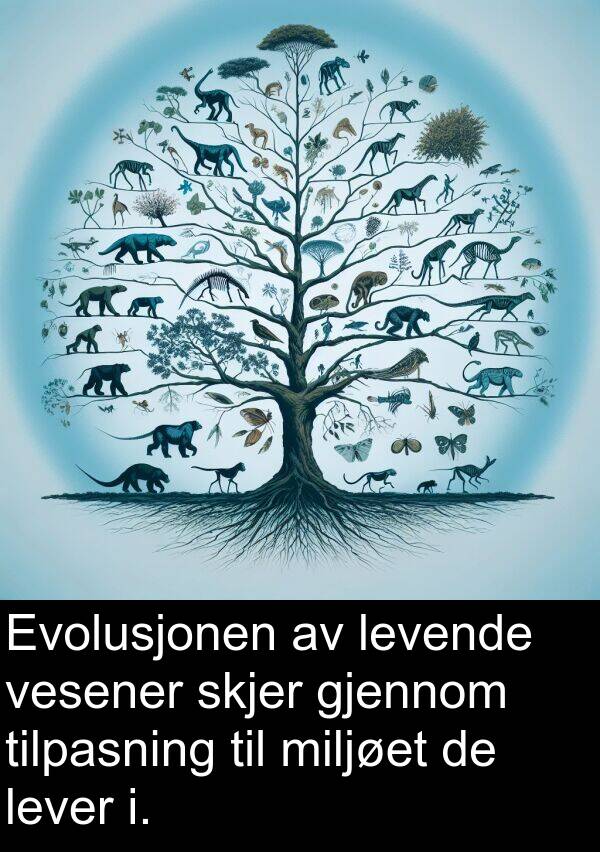 vesener: Evolusjonen av levende vesener skjer gjennom tilpasning til miljøet de lever i.