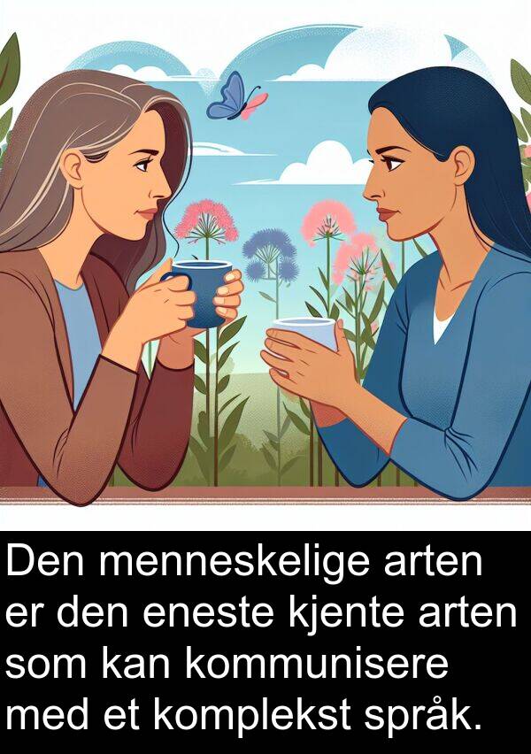 komplekst: Den menneskelige arten er den eneste kjente arten som kan kommunisere med et komplekst språk.