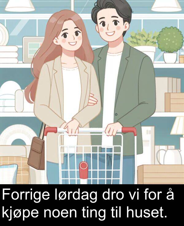 kjøpe: Forrige lørdag dro vi for å kjøpe noen ting til huset.