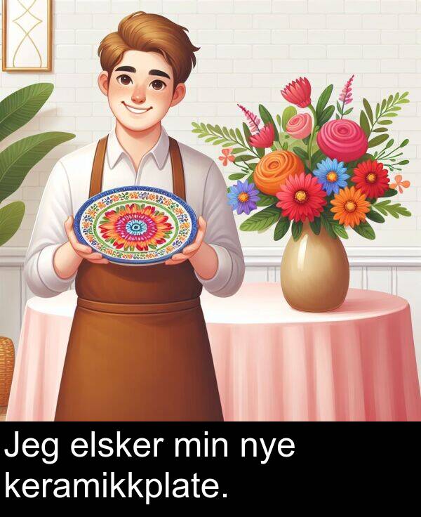 keramikkplate: Jeg elsker min nye keramikkplate.