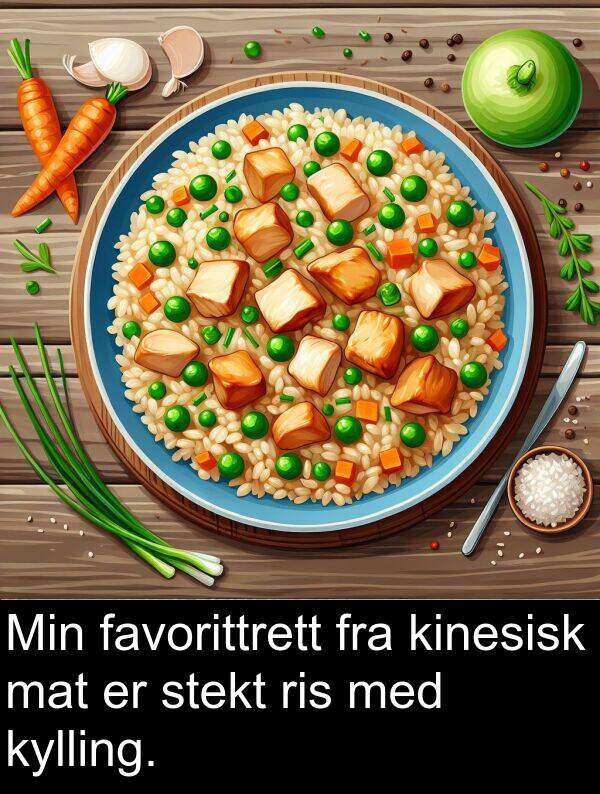 kinesisk: Min favorittrett fra kinesisk mat er stekt ris med kylling.