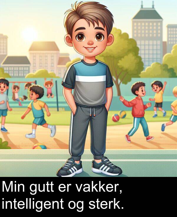 intelligent: Min gutt er vakker, intelligent og sterk.
