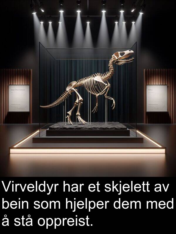 oppreist: Virveldyr har et skjelett av bein som hjelper dem med å stå oppreist.