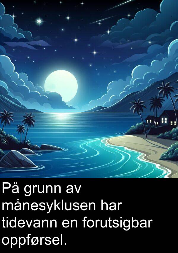 oppførsel: På grunn av månesyklusen har tidevann en forutsigbar oppførsel.