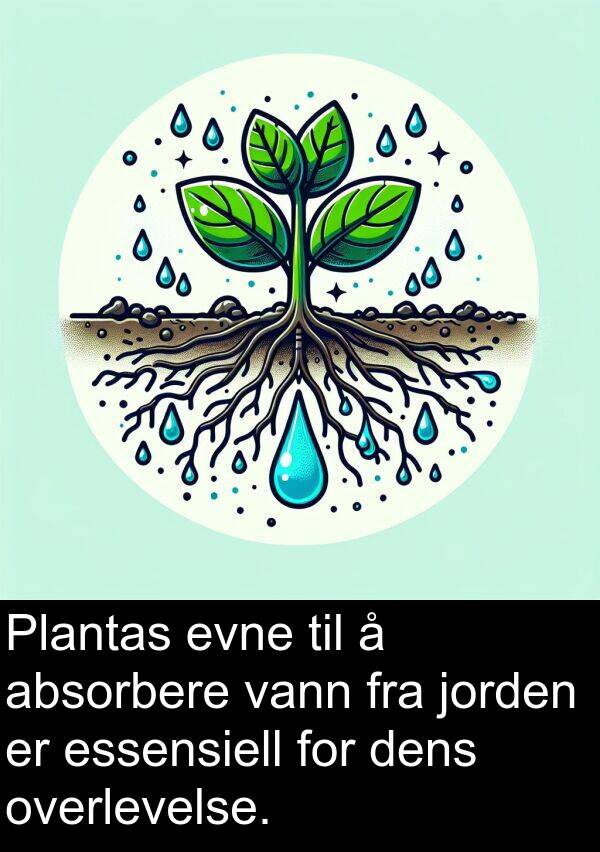 overlevelse: Plantas evne til å absorbere vann fra jorden er essensiell for dens overlevelse.