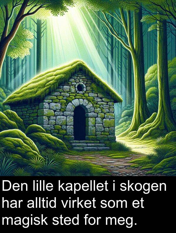 skogen: Den lille kapellet i skogen har alltid virket som et magisk sted for meg.