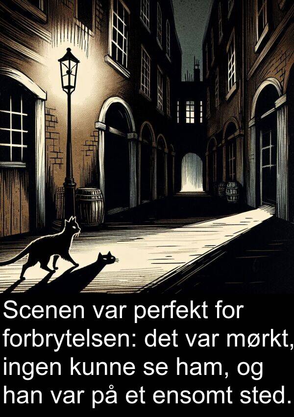 ensomt: Scenen var perfekt for forbrytelsen: det var mørkt, ingen kunne se ham, og han var på et ensomt sted.