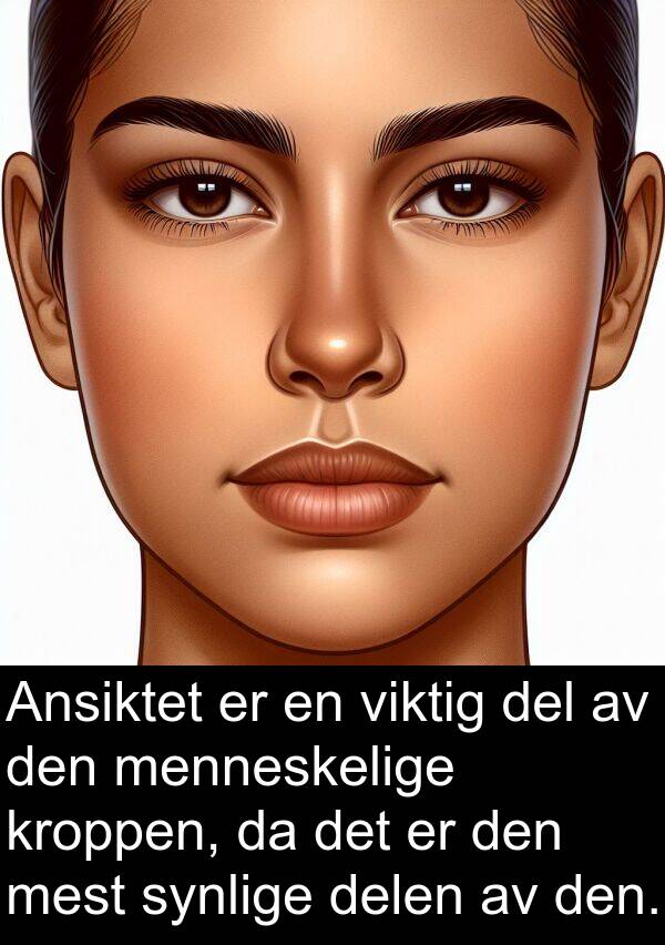 del: Ansiktet er en viktig del av den menneskelige kroppen, da det er den mest synlige delen av den.