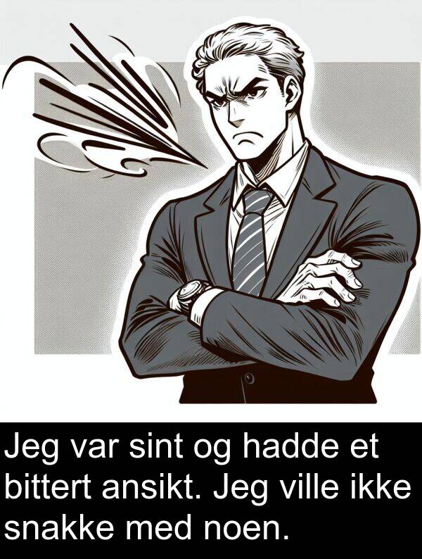 sint: Jeg var sint og hadde et bittert ansikt. Jeg ville ikke snakke med noen.