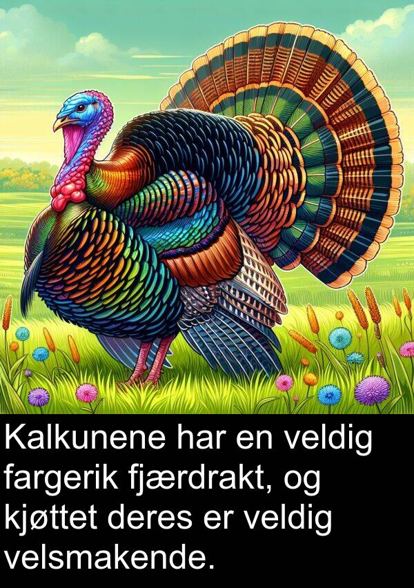 velsmakende: Kalkunene har en veldig fargerik fjærdrakt, og kjøttet deres er veldig velsmakende.