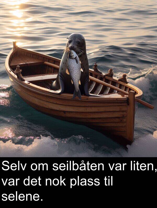selene: Selv om seilbåten var liten, var det nok plass til selene.