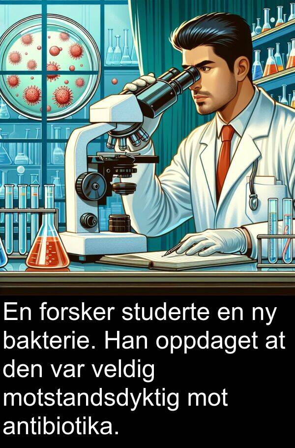 oppdaget: En forsker studerte en ny bakterie. Han oppdaget at den var veldig motstandsdyktig mot antibiotika.