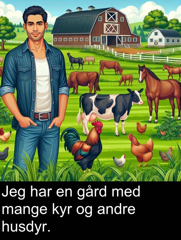 mange: Jeg har en gård med mange kyr og andre husdyr.