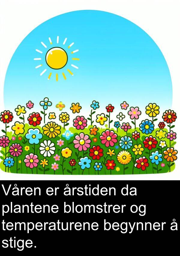plantene: Våren er årstiden da plantene blomstrer og temperaturene begynner å stige.