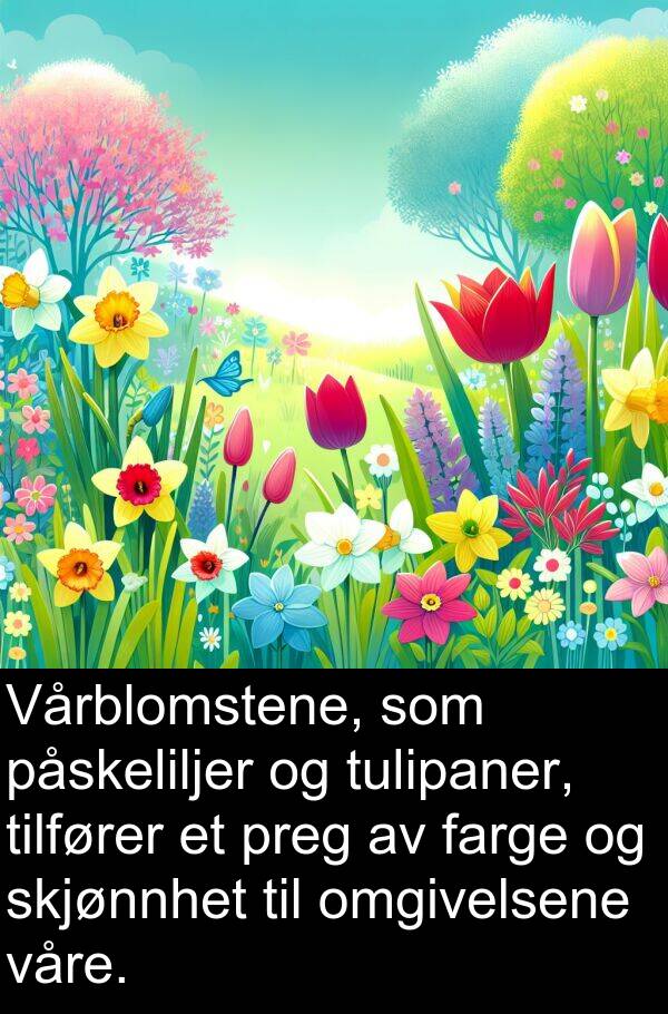 omgivelsene: Vårblomstene, som påskeliljer og tulipaner, tilfører et preg av farge og skjønnhet til omgivelsene våre.