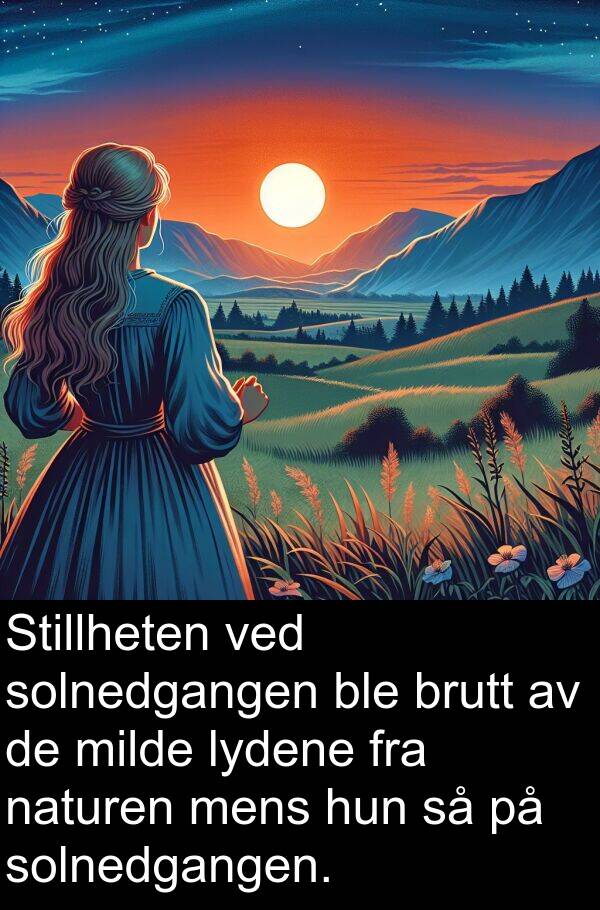 naturen: Stillheten ved solnedgangen ble brutt av de milde lydene fra naturen mens hun så på solnedgangen.