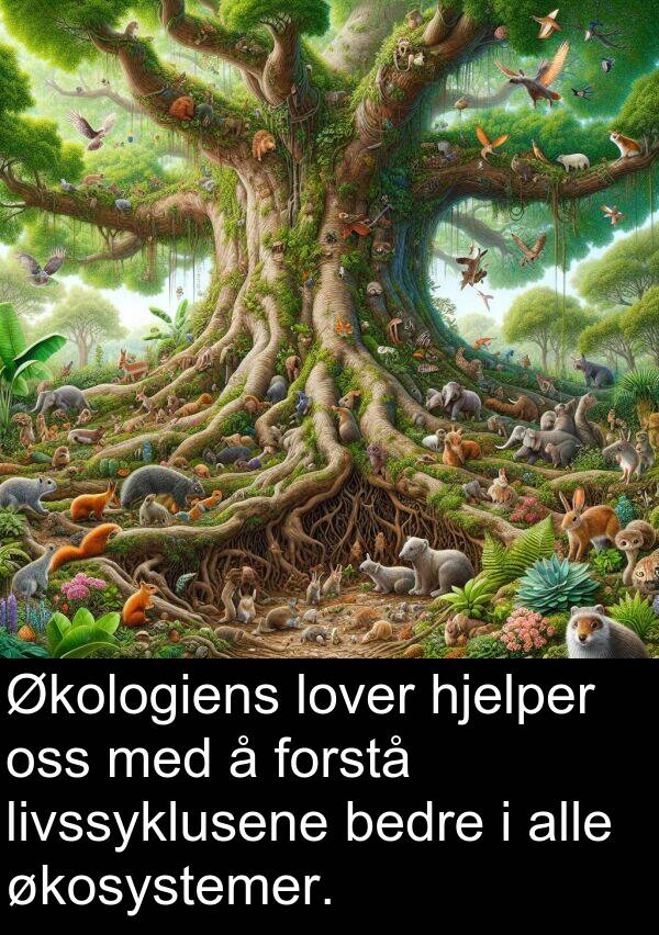 økosystemer: Økologiens lover hjelper oss med å forstå livssyklusene bedre i alle økosystemer.
