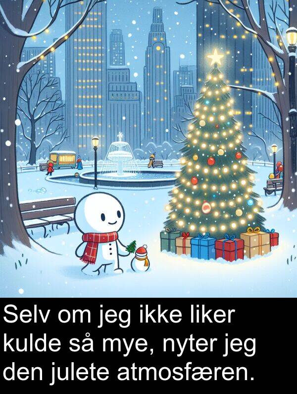 nyter: Selv om jeg ikke liker kulde så mye, nyter jeg den julete atmosfæren.