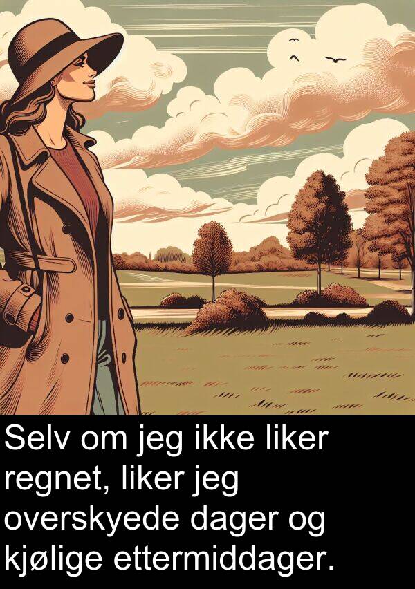 overskyede: Selv om jeg ikke liker regnet, liker jeg overskyede dager og kjølige ettermiddager.