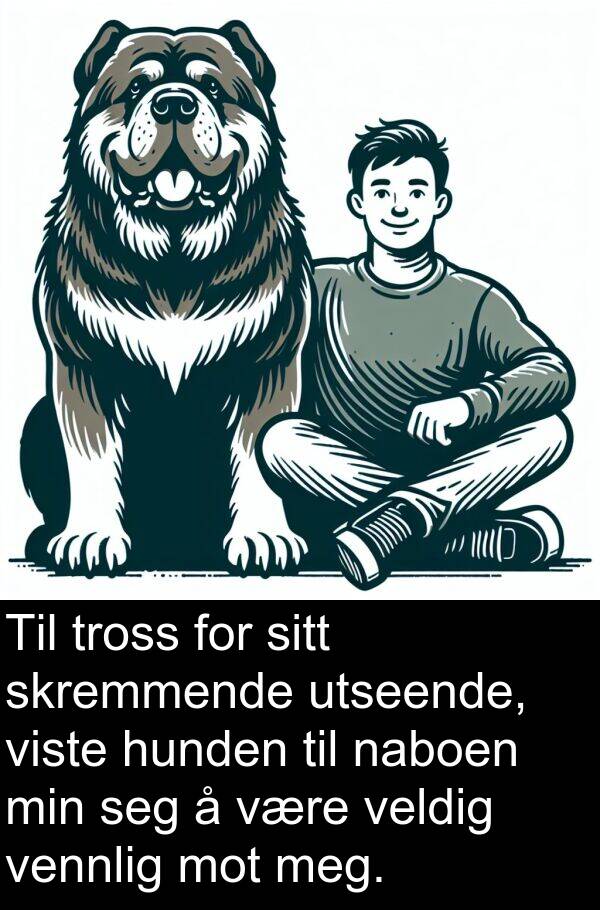 utseende: Til tross for sitt skremmende utseende, viste hunden til naboen min seg å være veldig vennlig mot meg.