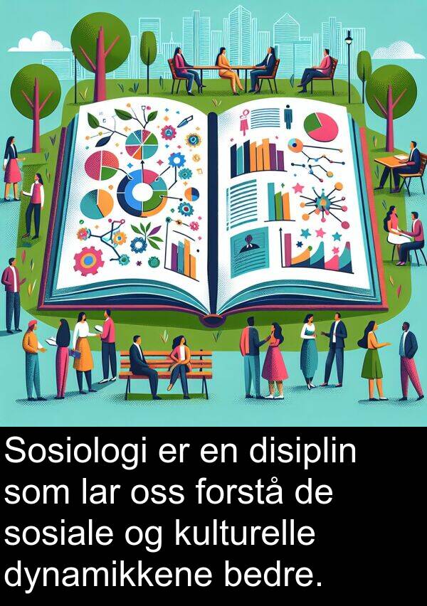 disiplin: Sosiologi er en disiplin som lar oss forstå de sosiale og kulturelle dynamikkene bedre.