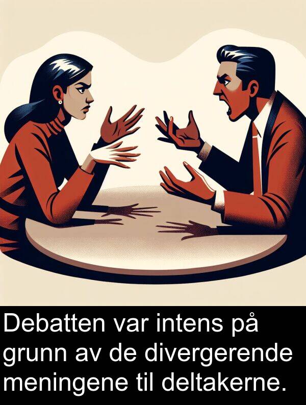 grunn: Debatten var intens på grunn av de divergerende meningene til deltakerne.