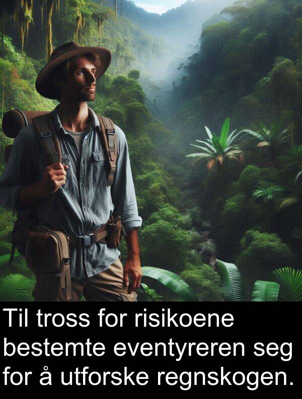regnskogen: Til tross for risikoene bestemte eventyreren seg for å utforske regnskogen.