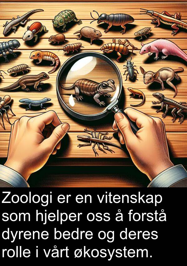 dyrene: Zoologi er en vitenskap som hjelper oss å forstå dyrene bedre og deres rolle i vårt økosystem.