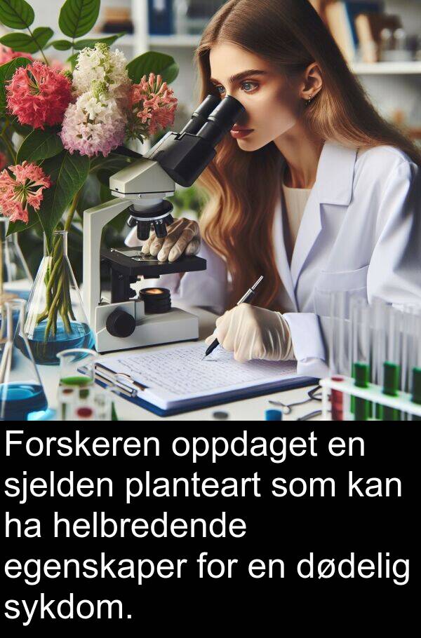 planteart: Forskeren oppdaget en sjelden planteart som kan ha helbredende egenskaper for en dødelig sykdom.