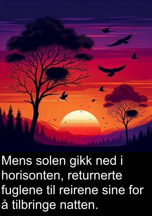 tilbringe: Mens solen gikk ned i horisonten, returnerte fuglene til reirene sine for å tilbringe natten.