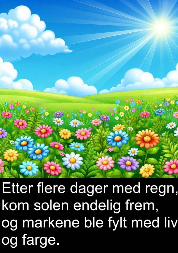regn: Etter flere dager med regn, kom solen endelig frem, og markene ble fylt med liv og farge.