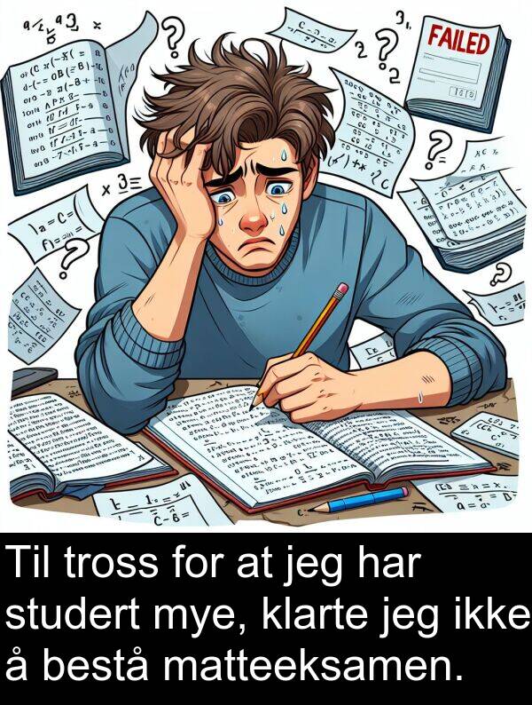studert: Til tross for at jeg har studert mye, klarte jeg ikke å bestå matteeksamen.