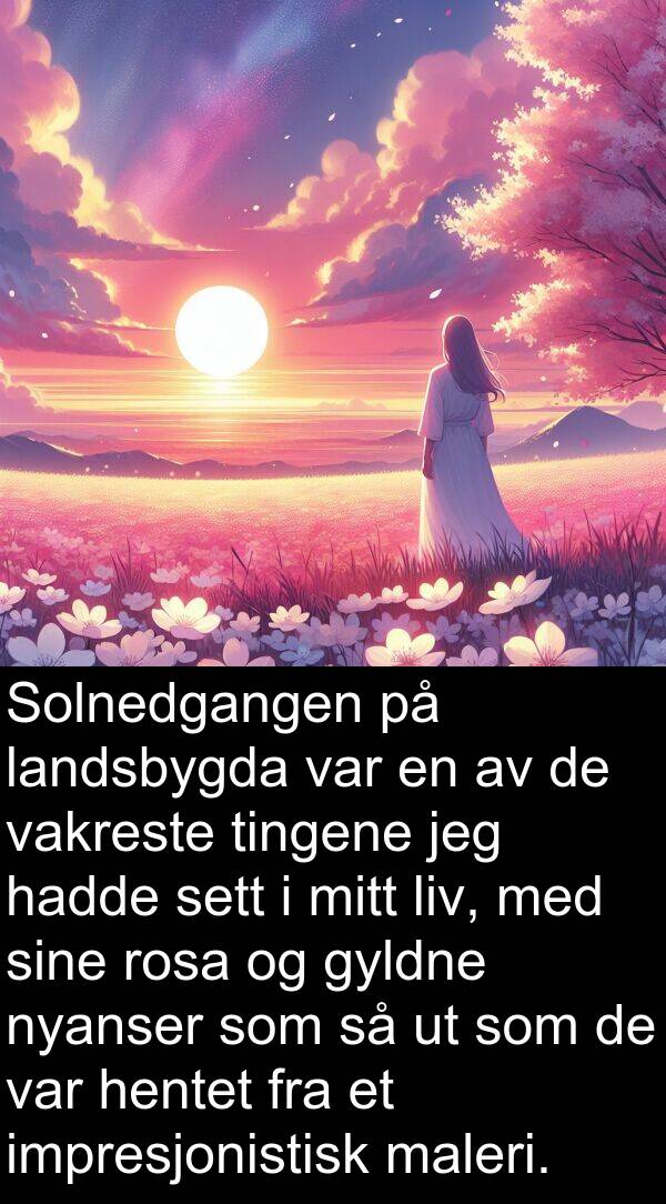 vakreste: Solnedgangen på landsbygda var en av de vakreste tingene jeg hadde sett i mitt liv, med sine rosa og gyldne nyanser som så ut som de var hentet fra et impresjonistisk maleri.