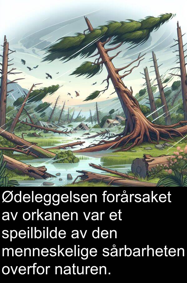 orkanen: Ødeleggelsen forårsaket av orkanen var et speilbilde av den menneskelige sårbarheten overfor naturen.