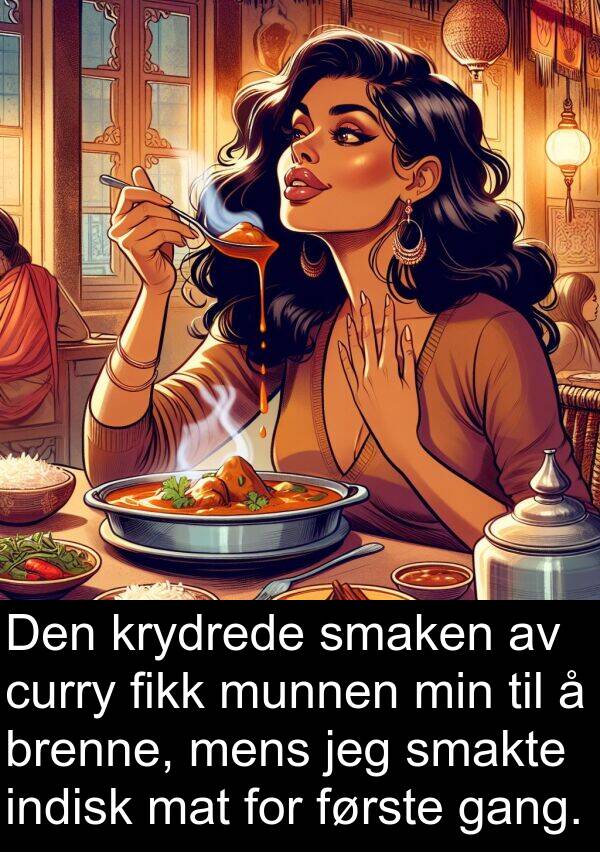 brenne: Den krydrede smaken av curry fikk munnen min til å brenne, mens jeg smakte indisk mat for første gang.