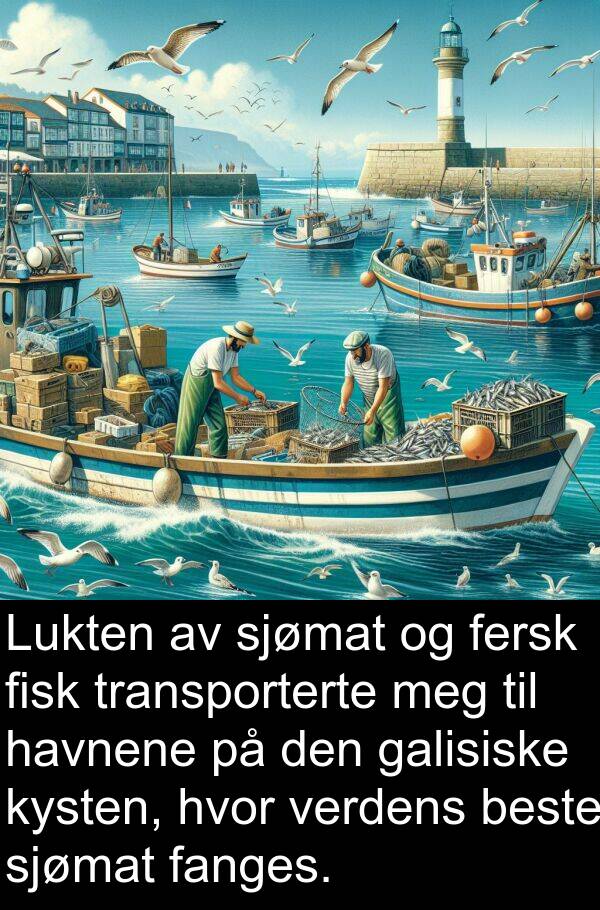 verdens: Lukten av sjømat og fersk fisk transporterte meg til havnene på den galisiske kysten, hvor verdens beste sjømat fanges.
