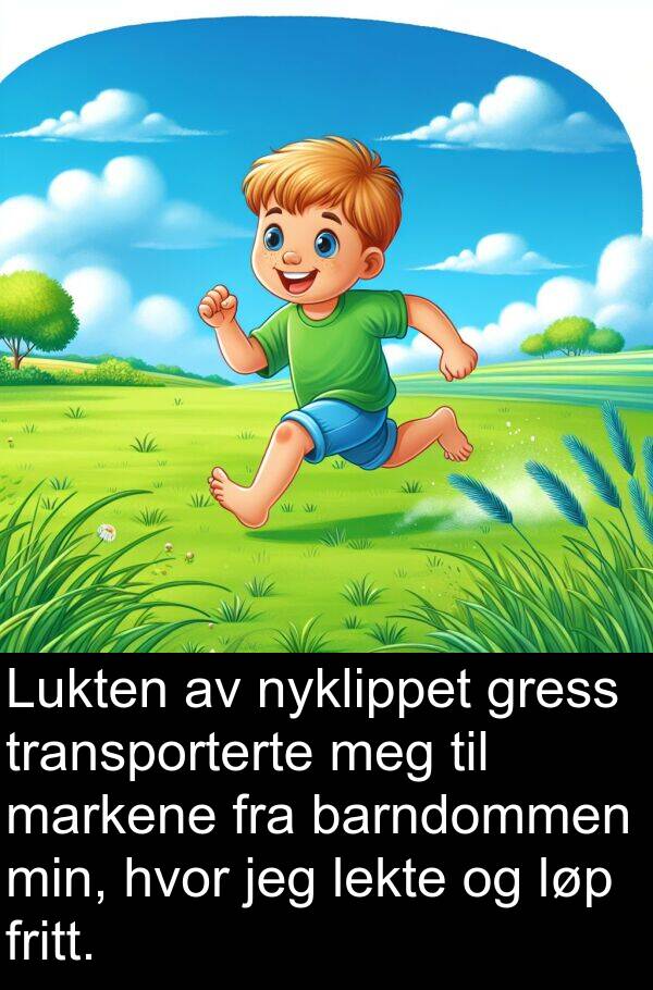 lekte: Lukten av nyklippet gress transporterte meg til markene fra barndommen min, hvor jeg lekte og løp fritt.