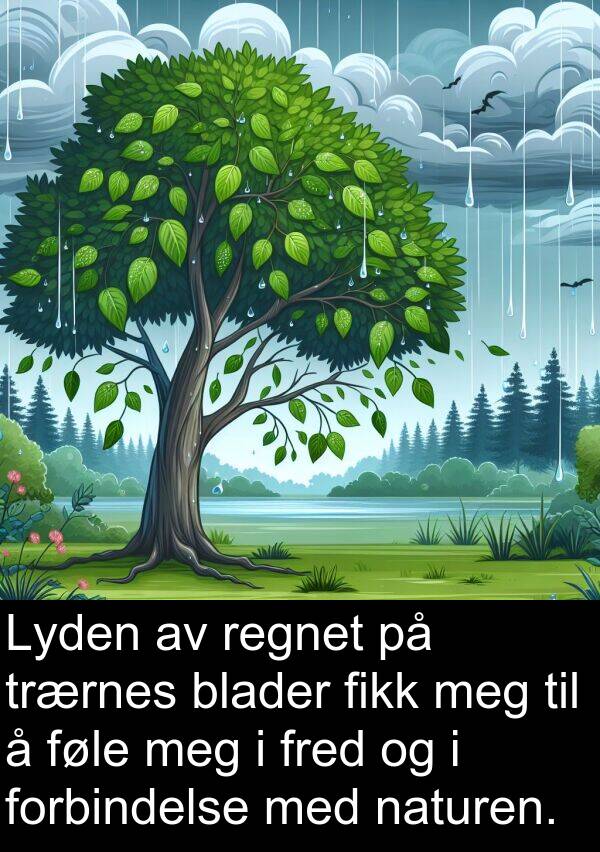 regnet: Lyden av regnet på trærnes blader fikk meg til å føle meg i fred og i forbindelse med naturen.