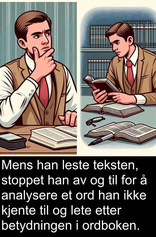 ord: Mens han leste teksten, stoppet han av og til for å analysere et ord han ikke kjente til og lete etter betydningen i ordboken.