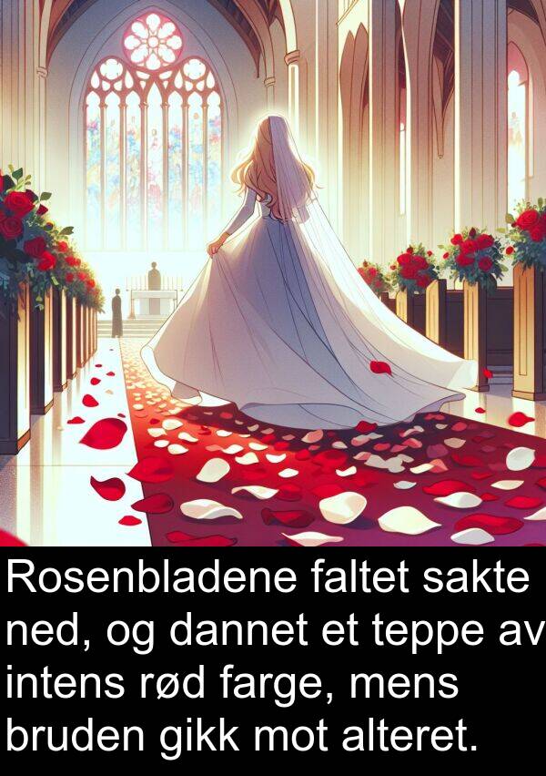 farge: Rosenbladene faltet sakte ned, og dannet et teppe av intens rød farge, mens bruden gikk mot alteret.