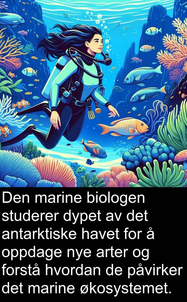 oppdage: Den marine biologen studerer dypet av det antarktiske havet for å oppdage nye arter og forstå hvordan de påvirker det marine økosystemet.