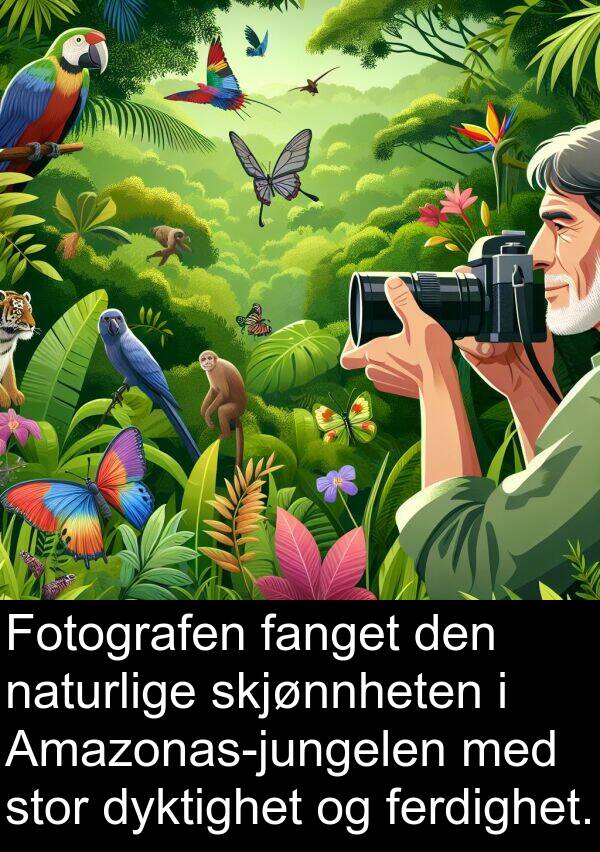 ferdighet: Fotografen fanget den naturlige skjønnheten i Amazonas-jungelen med stor dyktighet og ferdighet.
