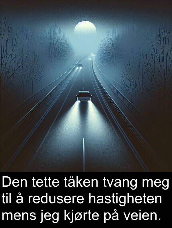 redusere: Den tette tåken tvang meg til å redusere hastigheten mens jeg kjørte på veien.