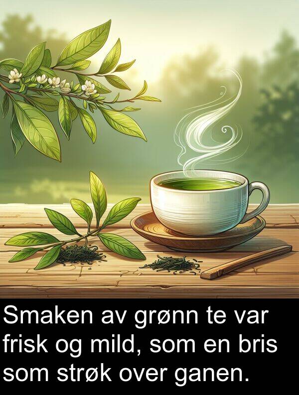 strøk: Smaken av grønn te var frisk og mild, som en bris som strøk over ganen.