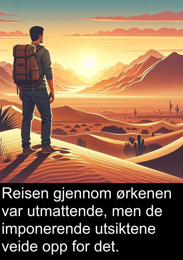 utmattende: Reisen gjennom ørkenen var utmattende, men de imponerende utsiktene veide opp for det.