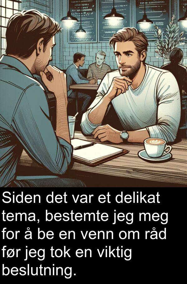 tema: Siden det var et delikat tema, bestemte jeg meg for å be en venn om råd før jeg tok en viktig beslutning.