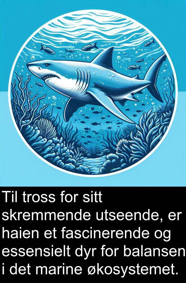 økosystemet: Til tross for sitt skremmende utseende, er haien et fascinerende og essensielt dyr for balansen i det marine økosystemet.