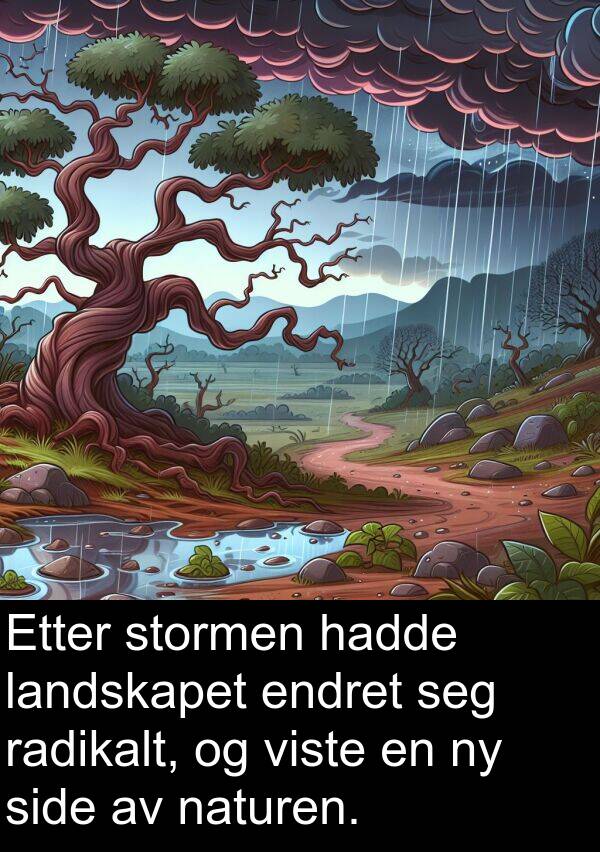 radikalt: Etter stormen hadde landskapet endret seg radikalt, og viste en ny side av naturen.