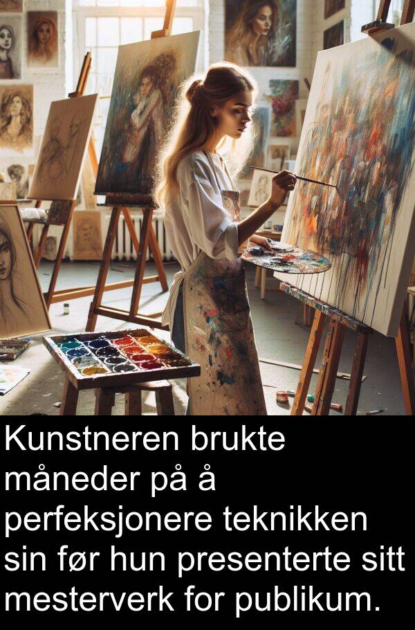 måneder: Kunstneren brukte måneder på å perfeksjonere teknikken sin før hun presenterte sitt mesterverk for publikum.