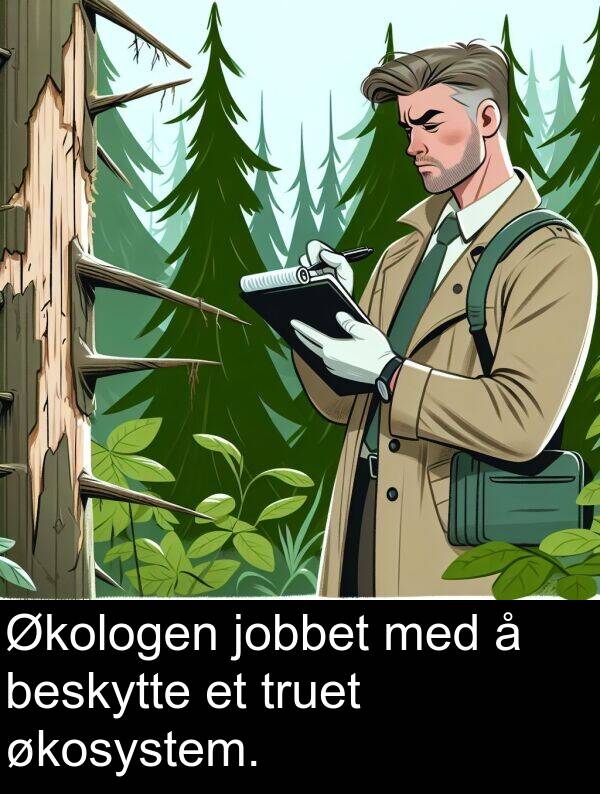økosystem: Økologen jobbet med å beskytte et truet økosystem.